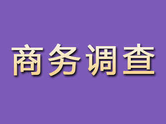 团风商务调查